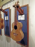 05 - Roger Johnson's all mango tenor ukulele with gold tortise shell binding
