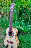 Crist Pung - Hawaiian Flag tenor with purple heart appointments on spruce and spalted mango