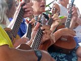 A clutch of ukulele during the kanikapila