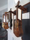 A quartet of ukulele by Michael Perdue