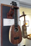 Pineapple ukulele by Sam Rosen