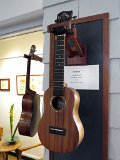 Soprano mahogany ukulele by Sam Rosen