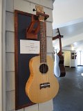 Spalted maple tenor ukulele by Gary Cassel