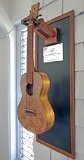 03 - Chris Stewart's mango tenor ukulele