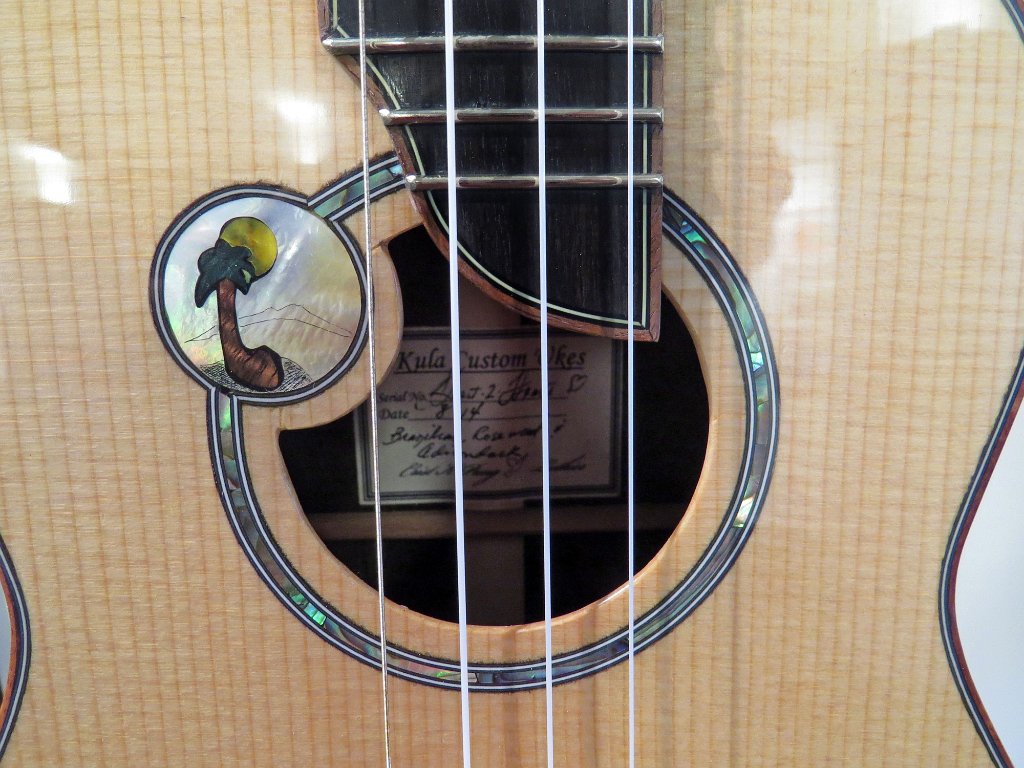 2014 Big Island Ukulele Guild exhibit 04