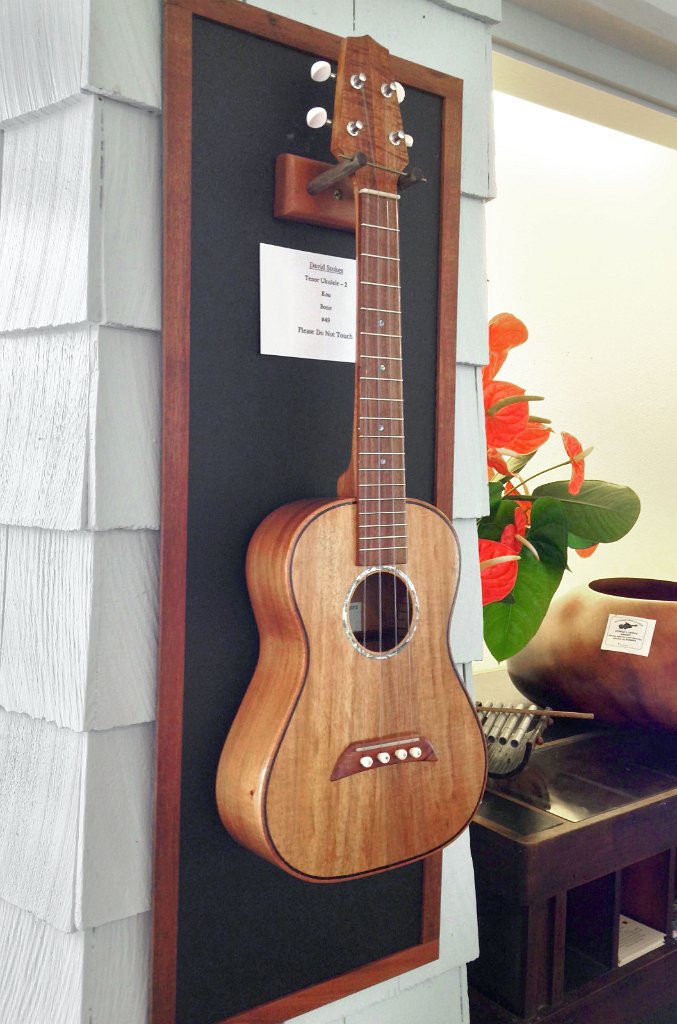 2014 Big Island Ukulele Guild exhibit 51